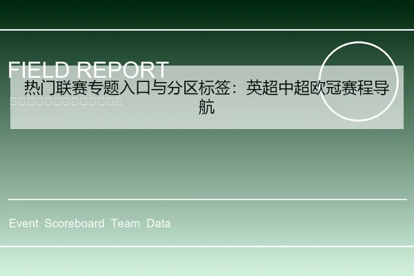 热门联赛专题入口与分区标签：英超中超欧冠赛程导航